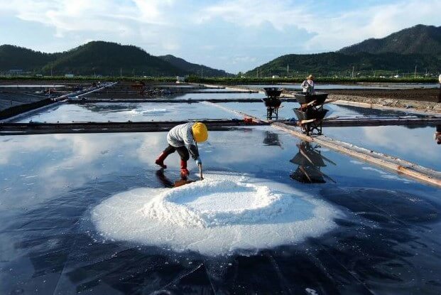 Crystallized sea salt, is collected in the salt pond of the Yellow Sea with a push rod.